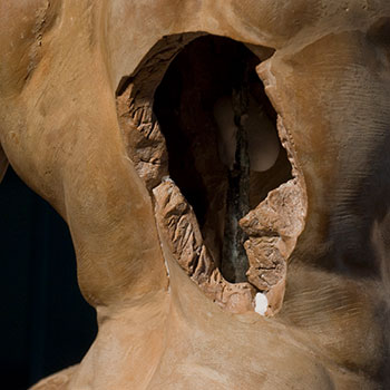 The Triton’s torso, showing the interior cavity, removed